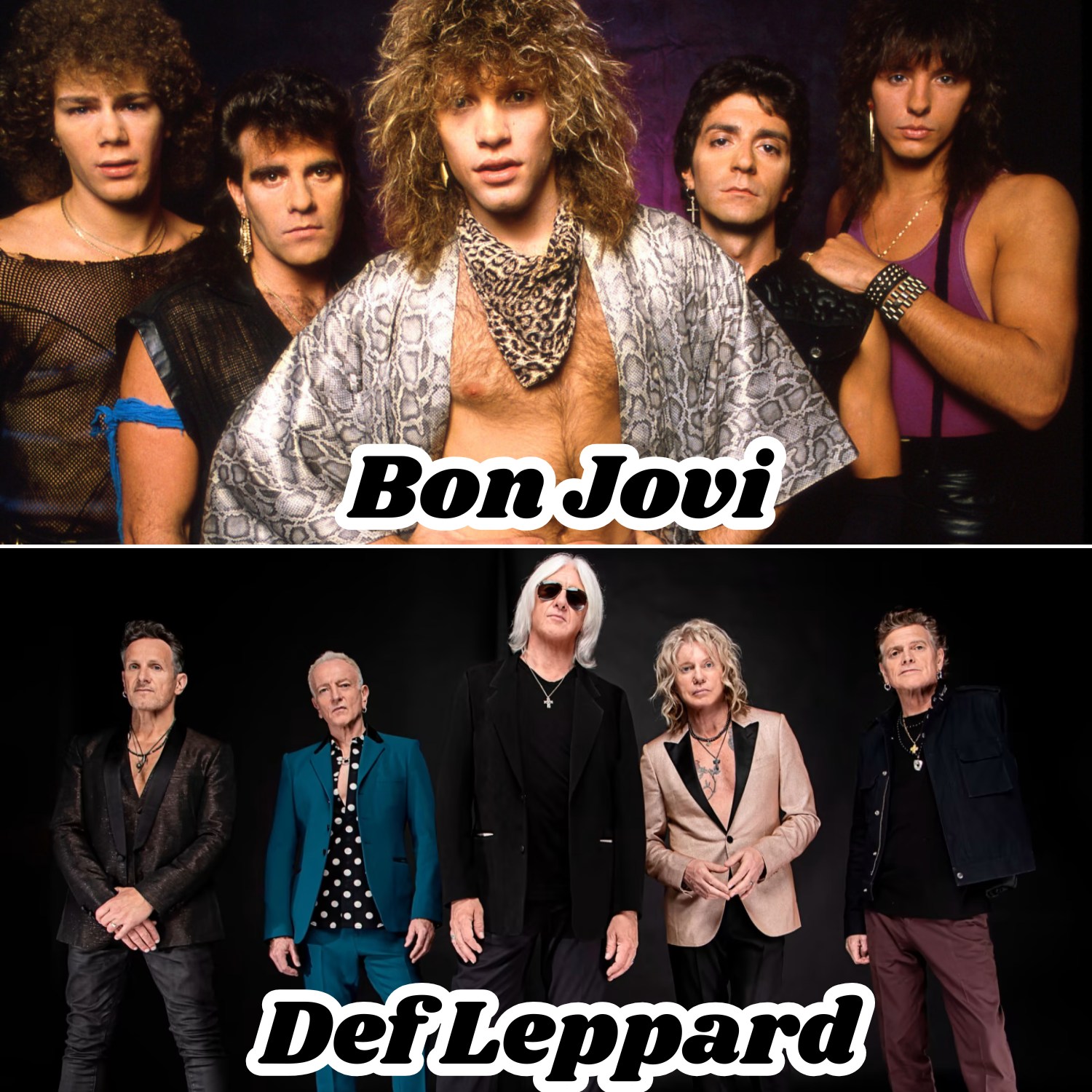 Has a great night at the Def Leppard concert last night. One of my