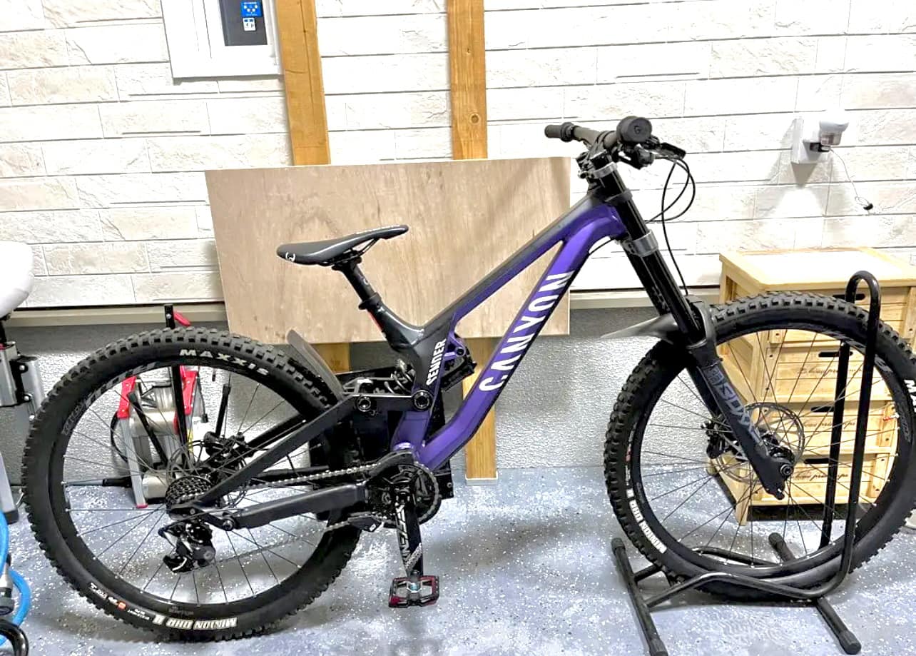 What crankset standard for Canyon Sender 2024?