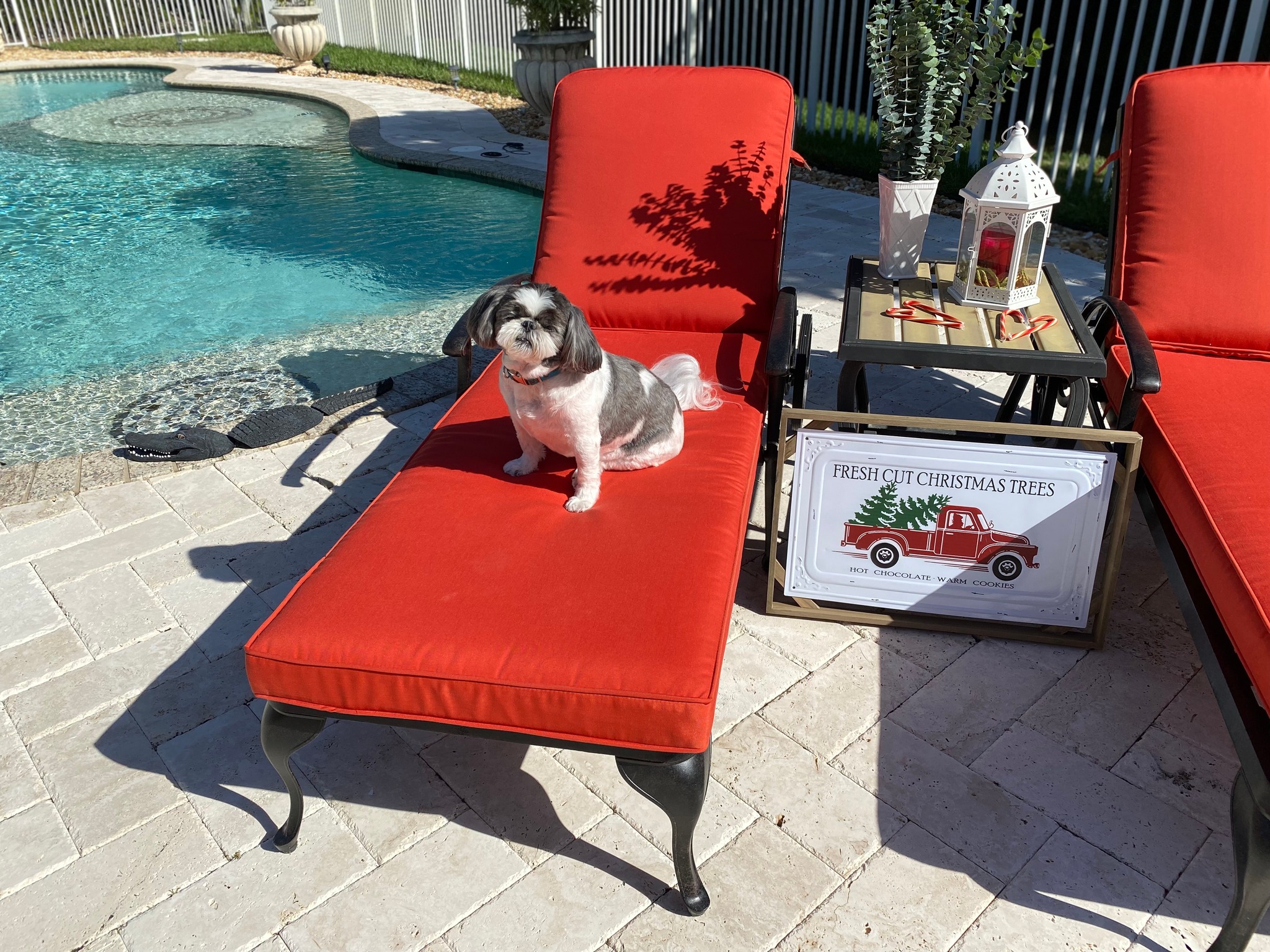 Cinelli Pools, Inc.