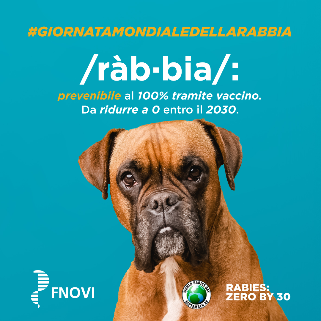 FNOVI - Oggi ricorre la Giornata Mondiale della rabbia. In questa ...