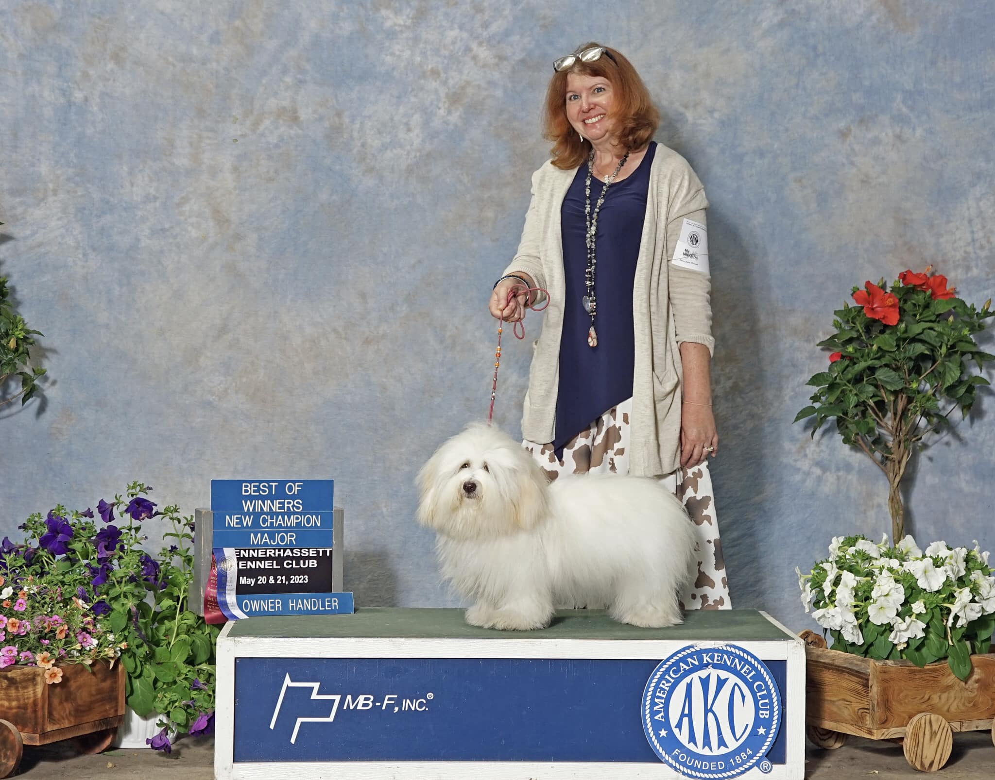 Hopecrest Show Dogs is proud to... - Hopecrest Cotons | Facebook