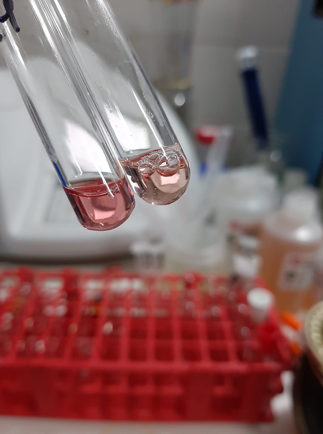 PerLab - La hipertrigliceridemia es una alteración que consiste en ...