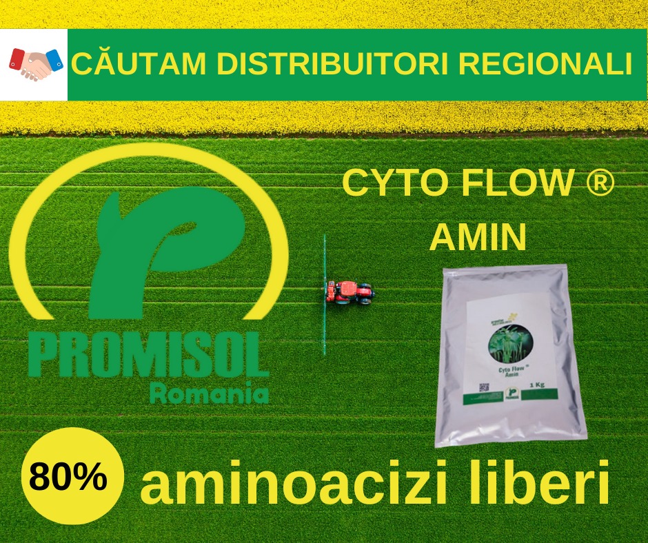 Promisol Romania | Sacalaz