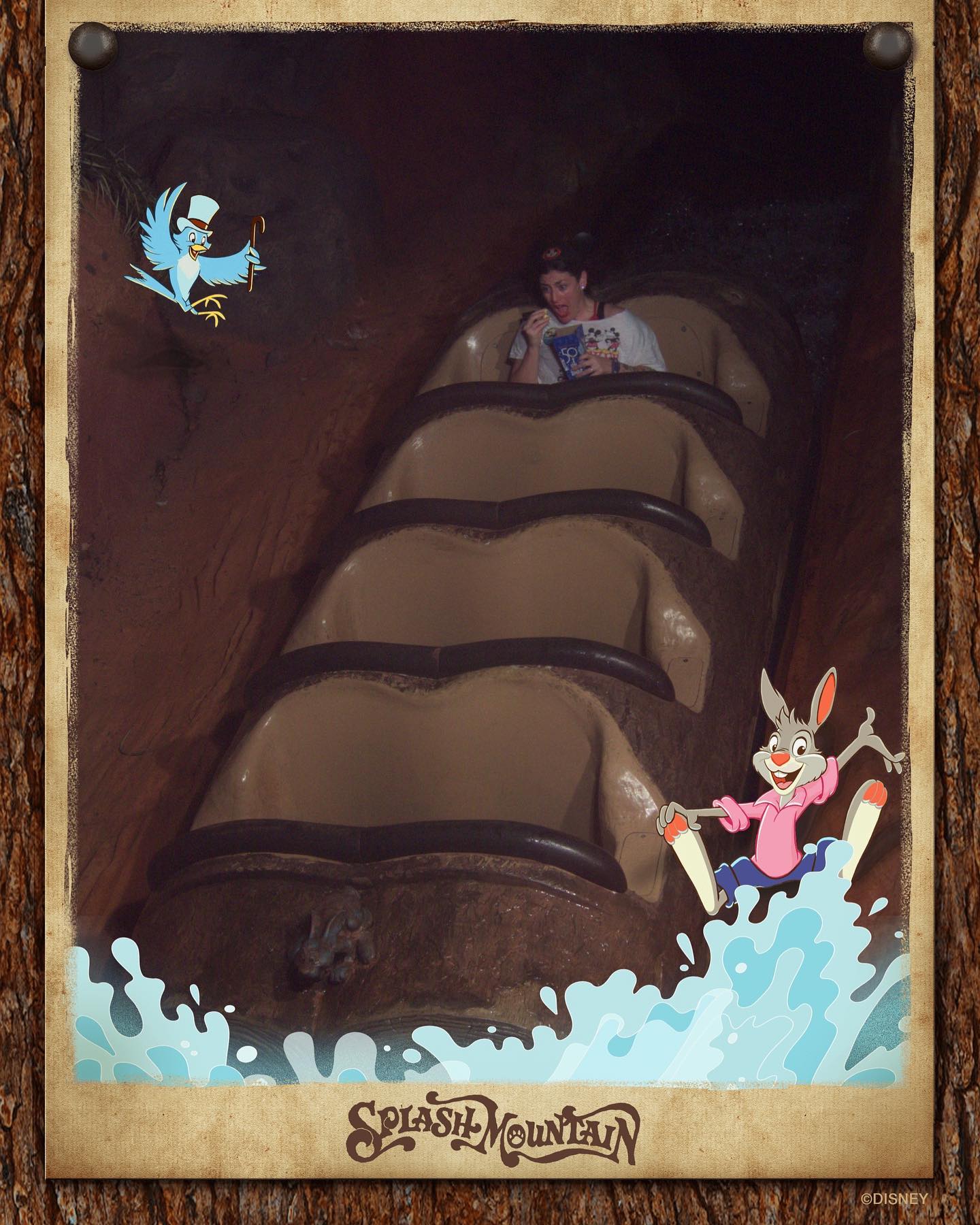 In memory of Splash Mountain closing, we give you some fun photos 