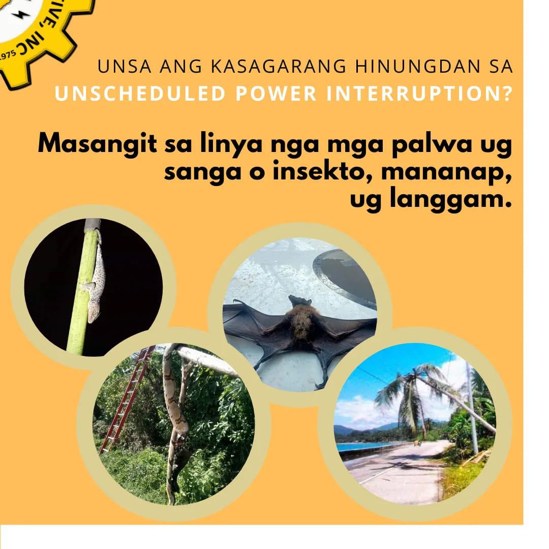 Ncecco Davao del Sur and Davao Occidental