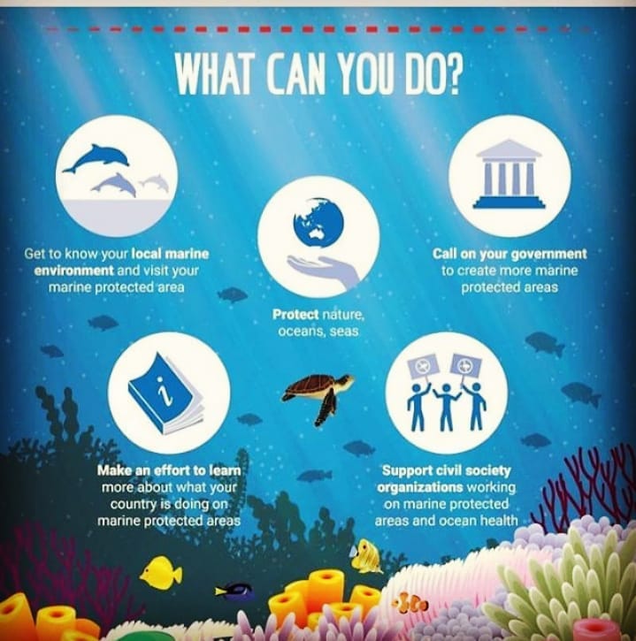What can you do to protect our... - The Pearl Protectors