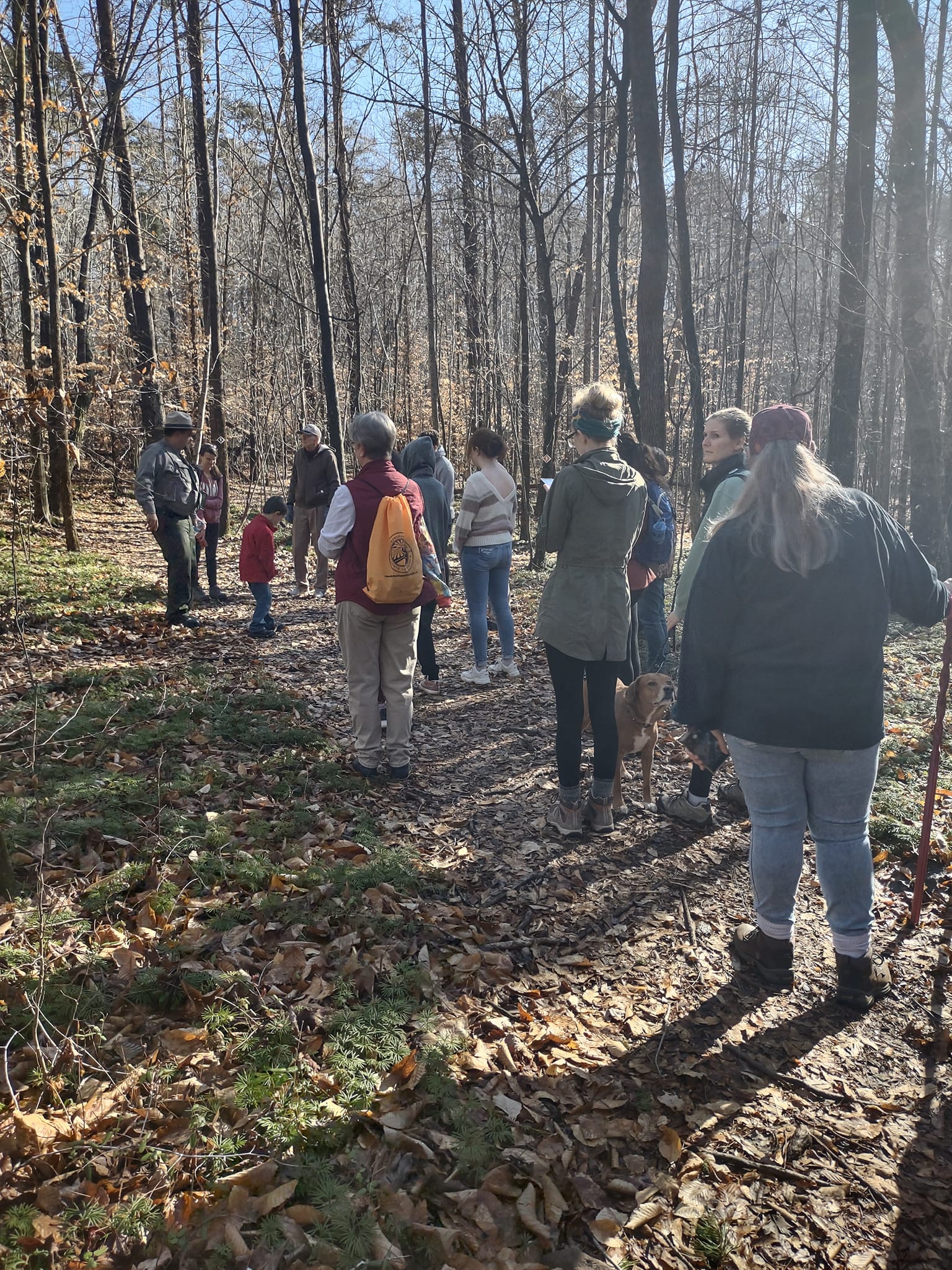 Friends of Mayo River State Park | Mayodan NC