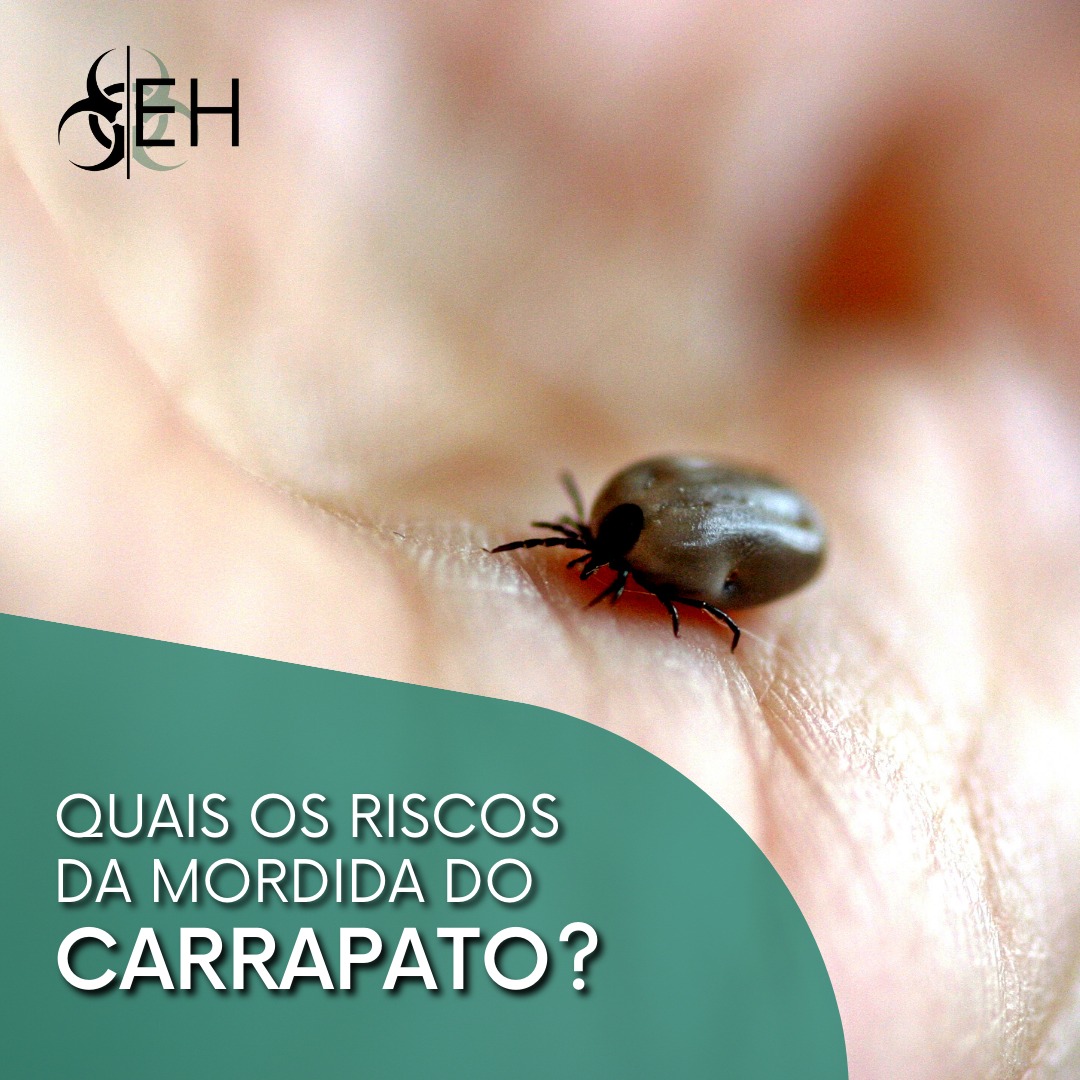 Dr. Eder Hideki - Quais os riscos da mordida do carrapato?... | Facebook