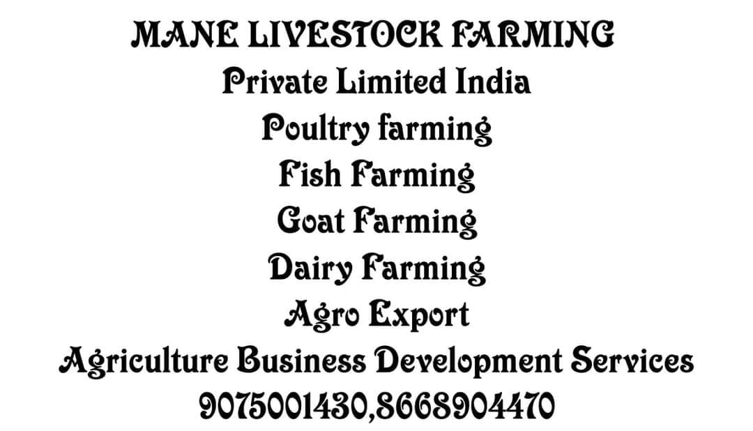 Mane livestock farm &... - Mane livestock farm & exporter