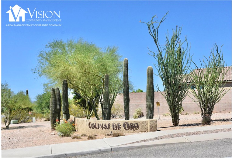 Vision Community Management | Phoenix AZ