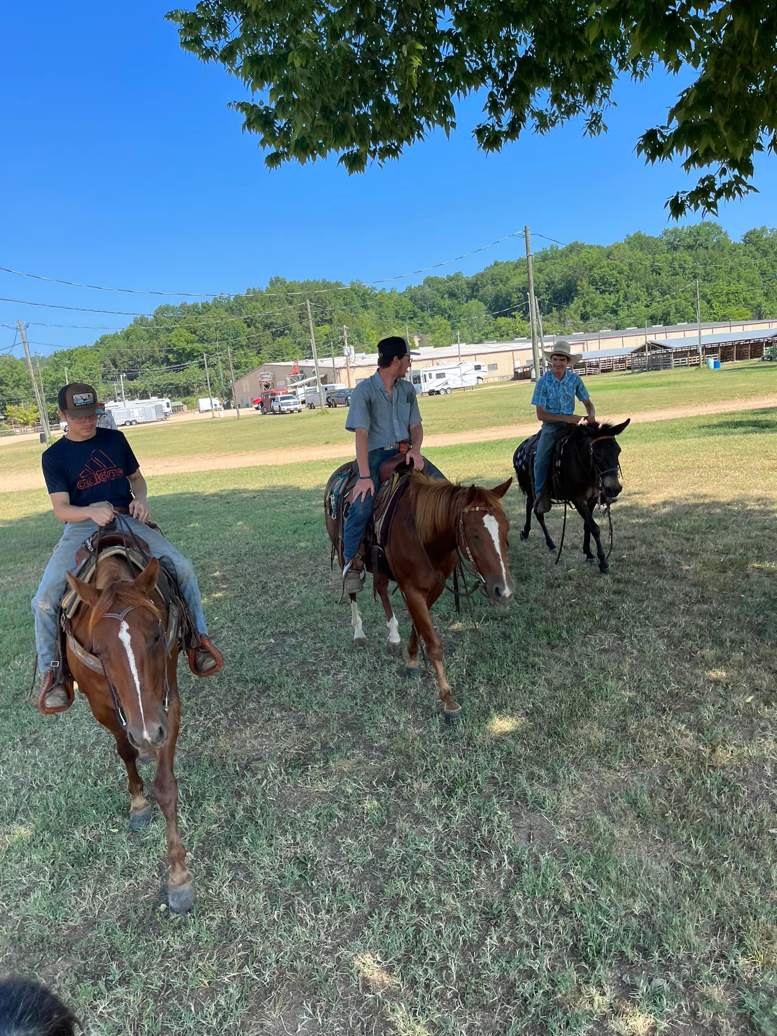 Double R W Ranch | Birch Tree MO