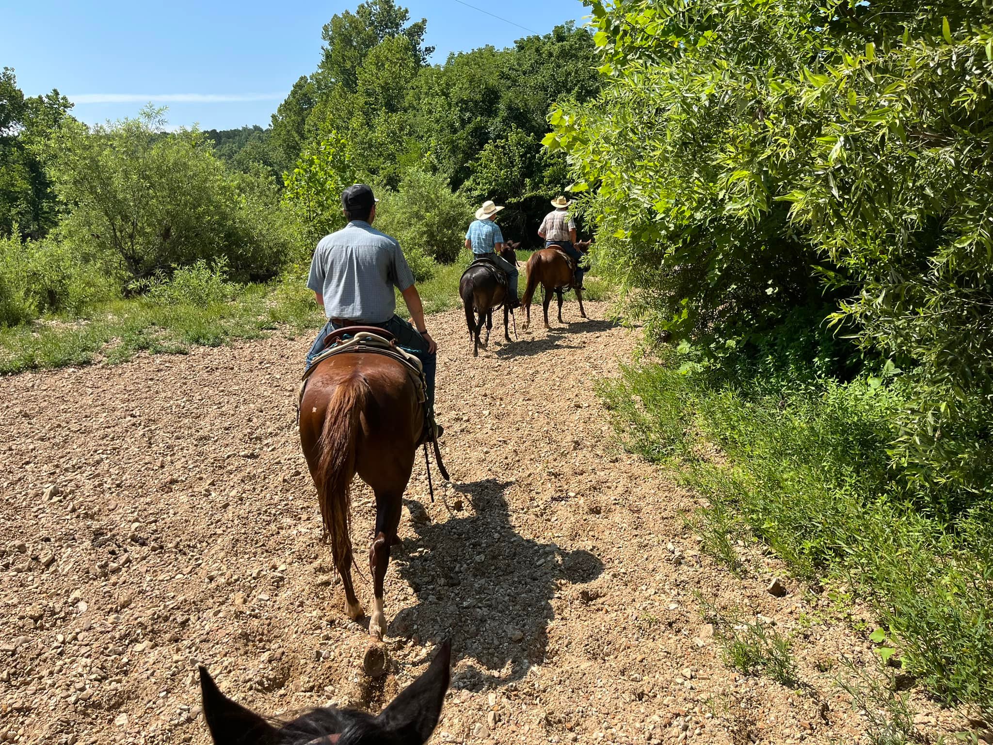 Double R W Ranch | Birch Tree MO