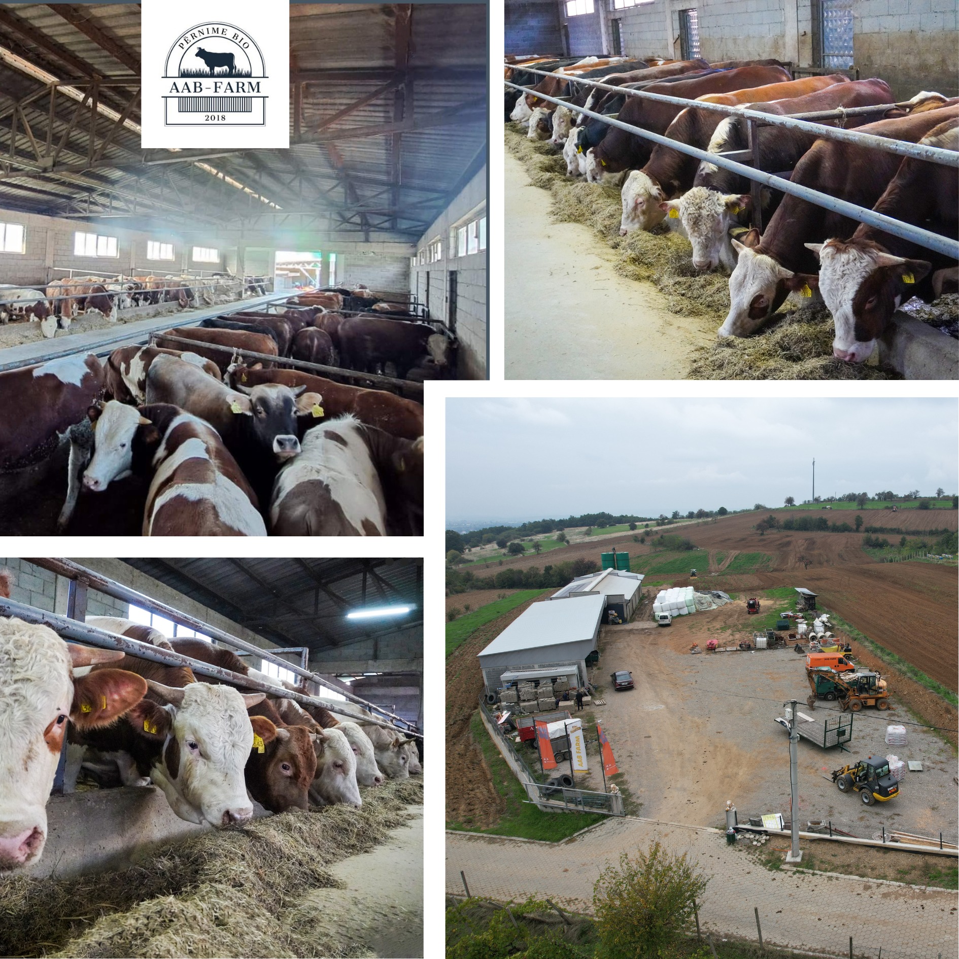 AAB-Farm | Suharekë