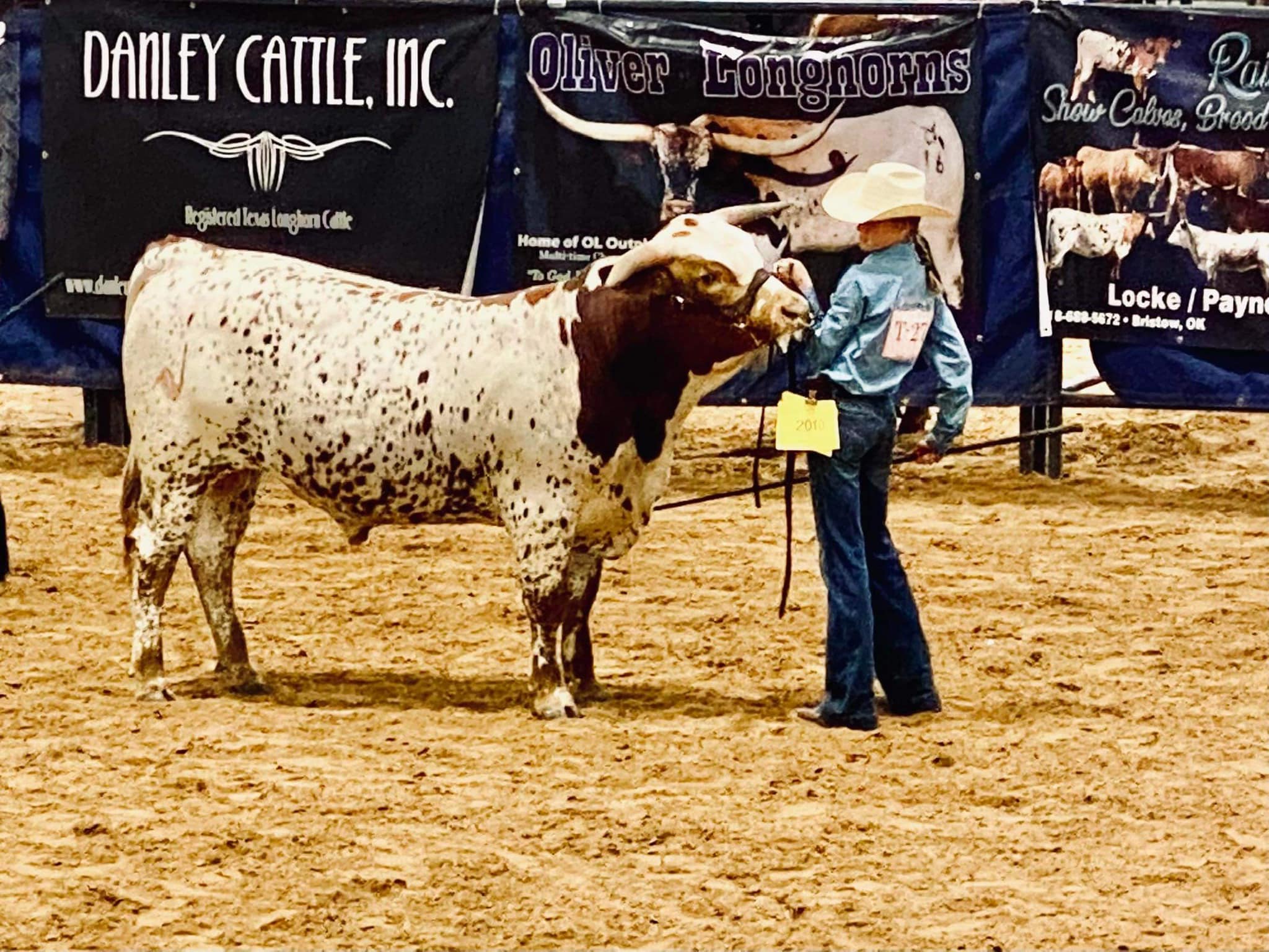 Double R Ranch Longhorns | Grandview TX