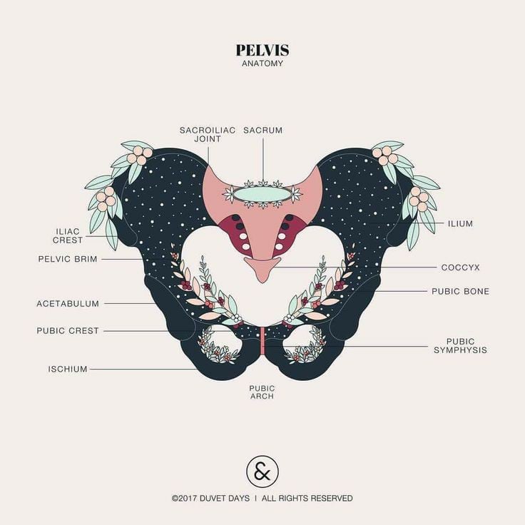 A pelve se move e se... - Alunar - Doula Fer Oliveira | Facebook