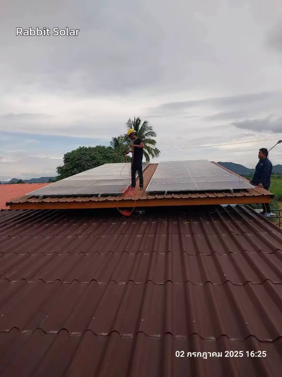 Rabbit Solar | Bangkok