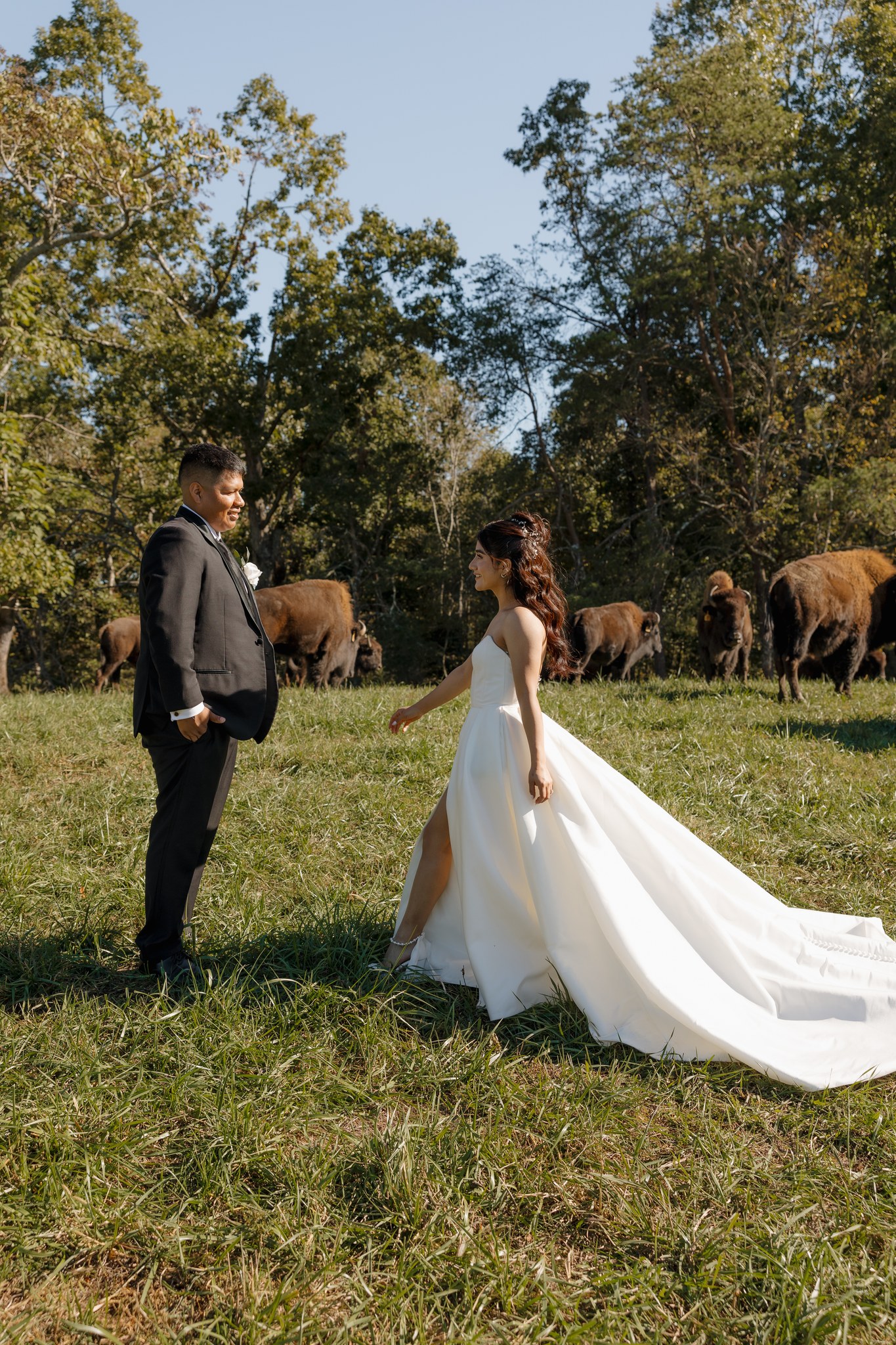 The Overlook at KC Bison Ranch | Dahlonega GA