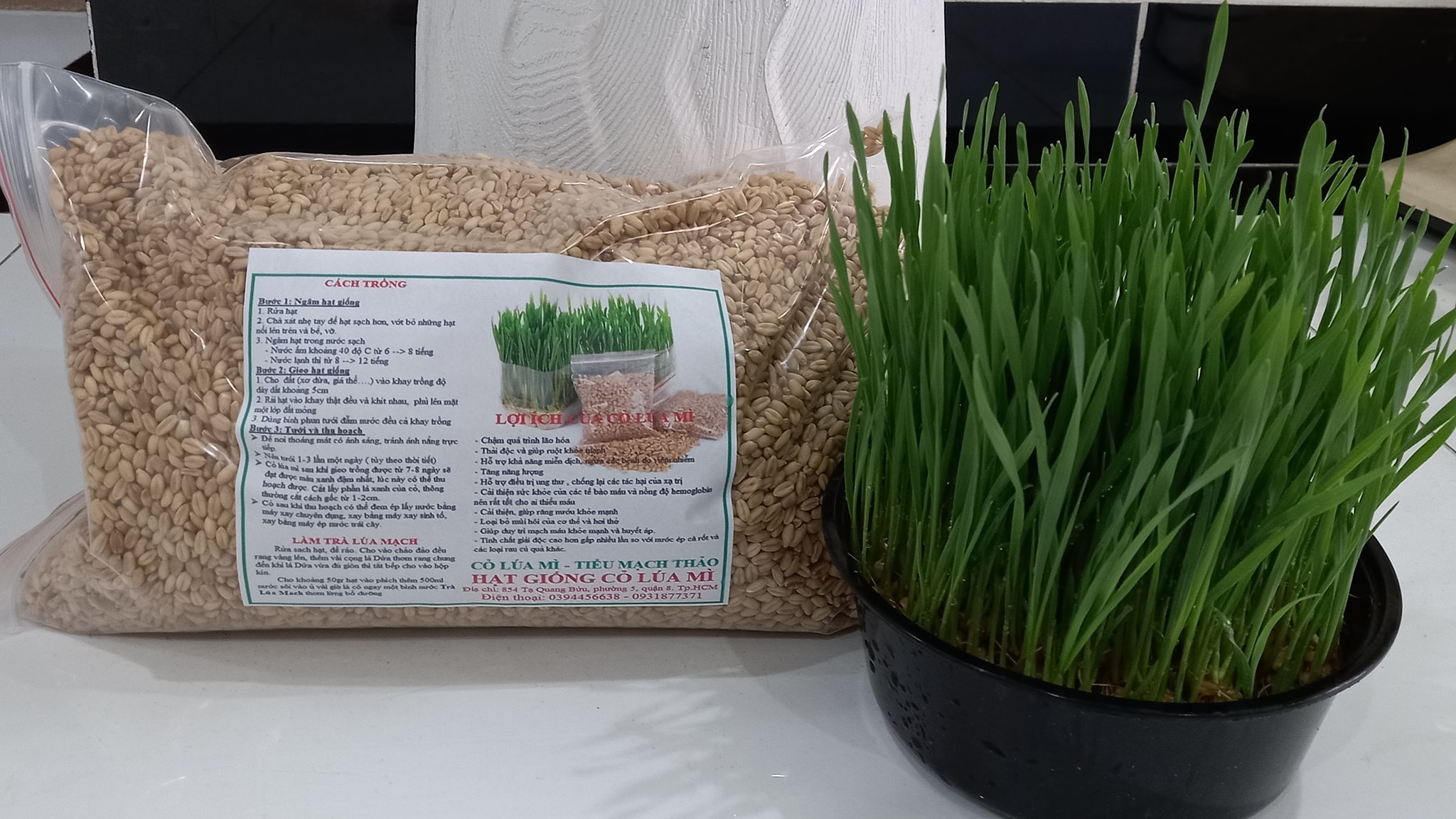 Bột cỏ lúa mì mua ở đâu - Máy ép chậm ép trái cây, rau củ, cỏ lúa mì ...