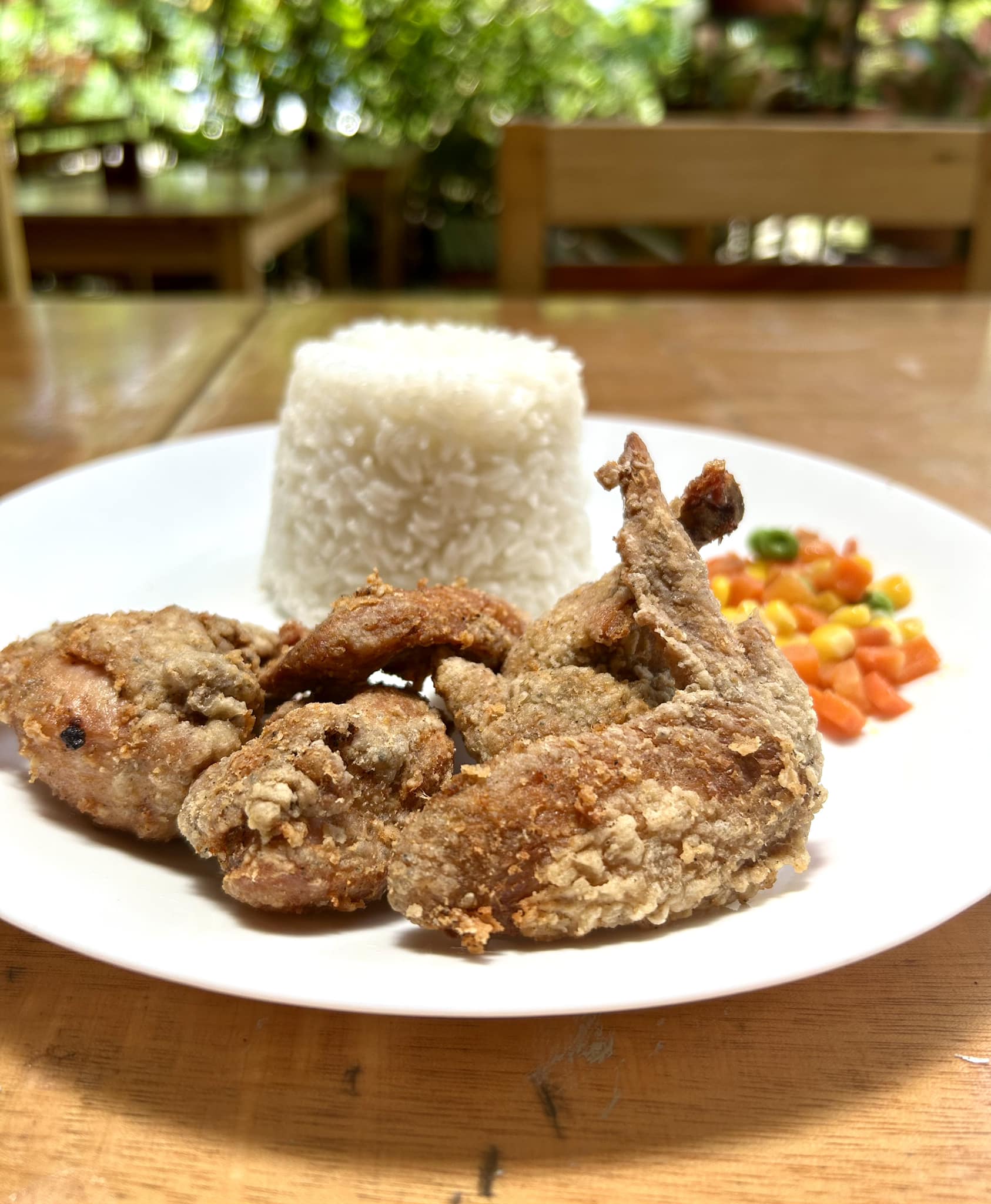 weng-s-wings-narra-palawan-narra