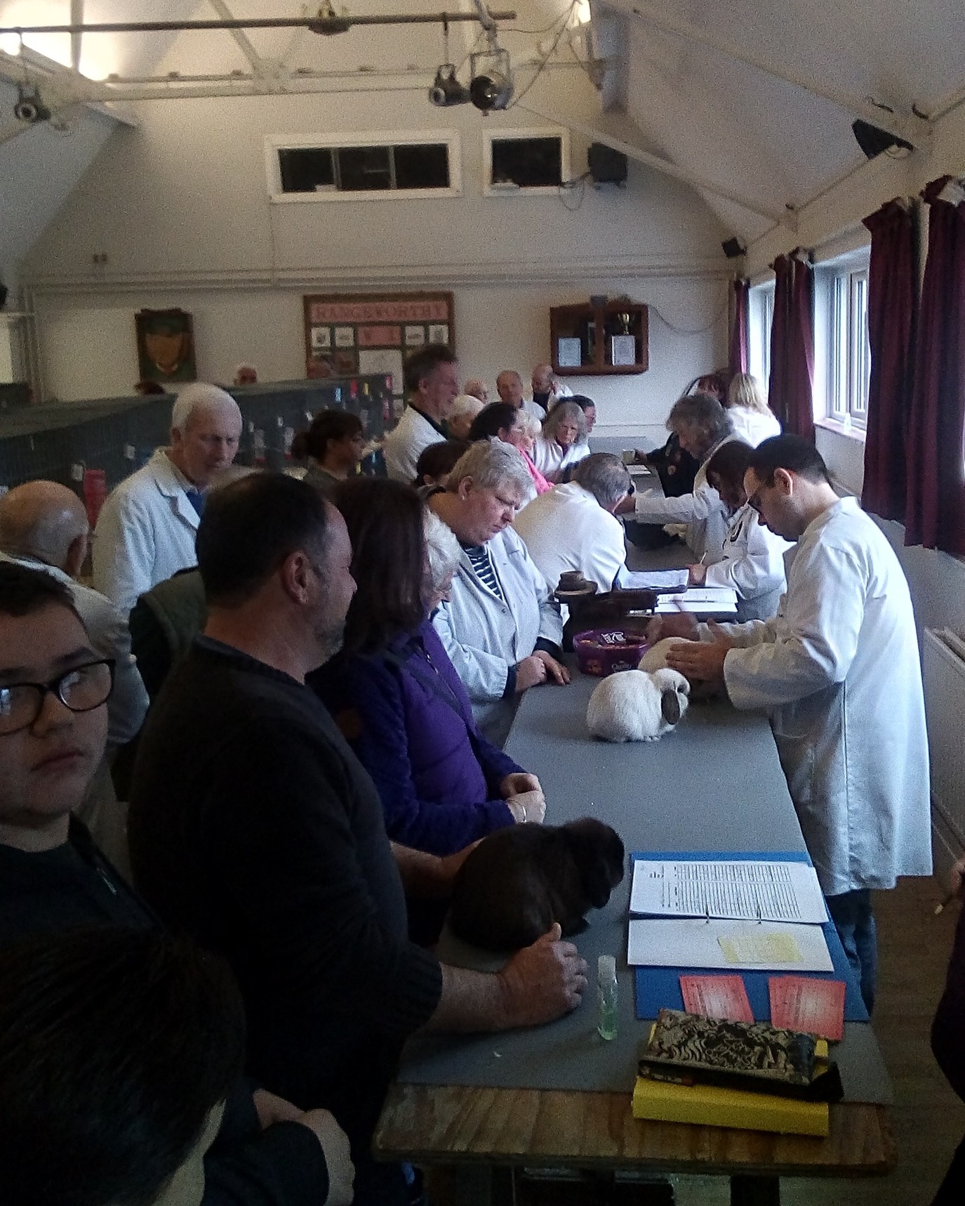 Bristol Rabbit Club
