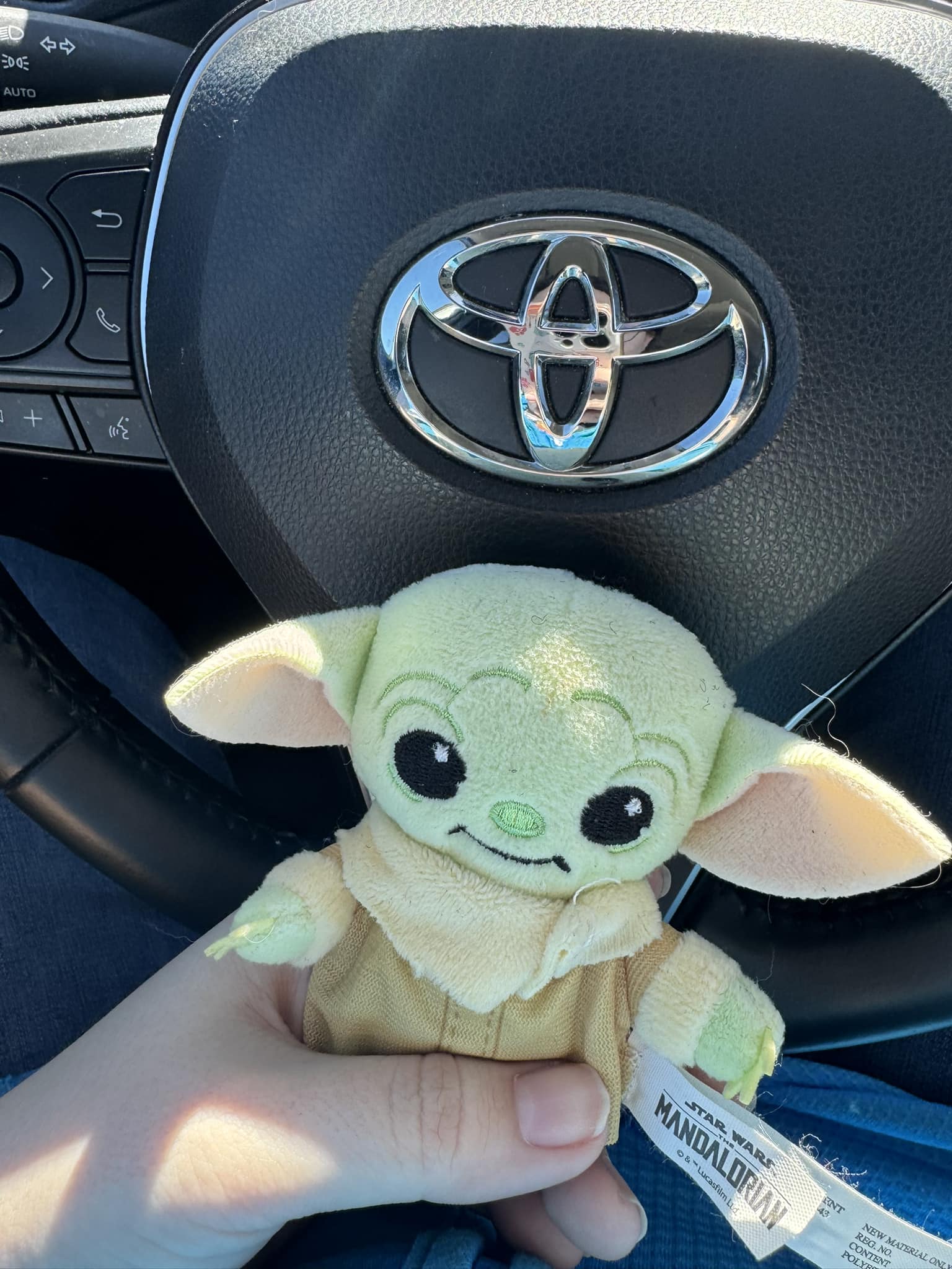Toy-Yoda License Plate – DEEZ PLATES