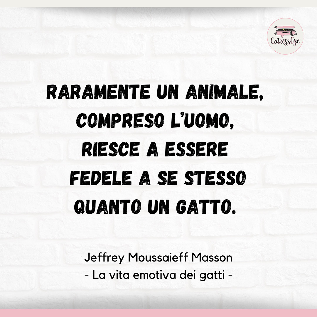 CatressEye - Raramente un animale, compreso l’uomo, riesce...