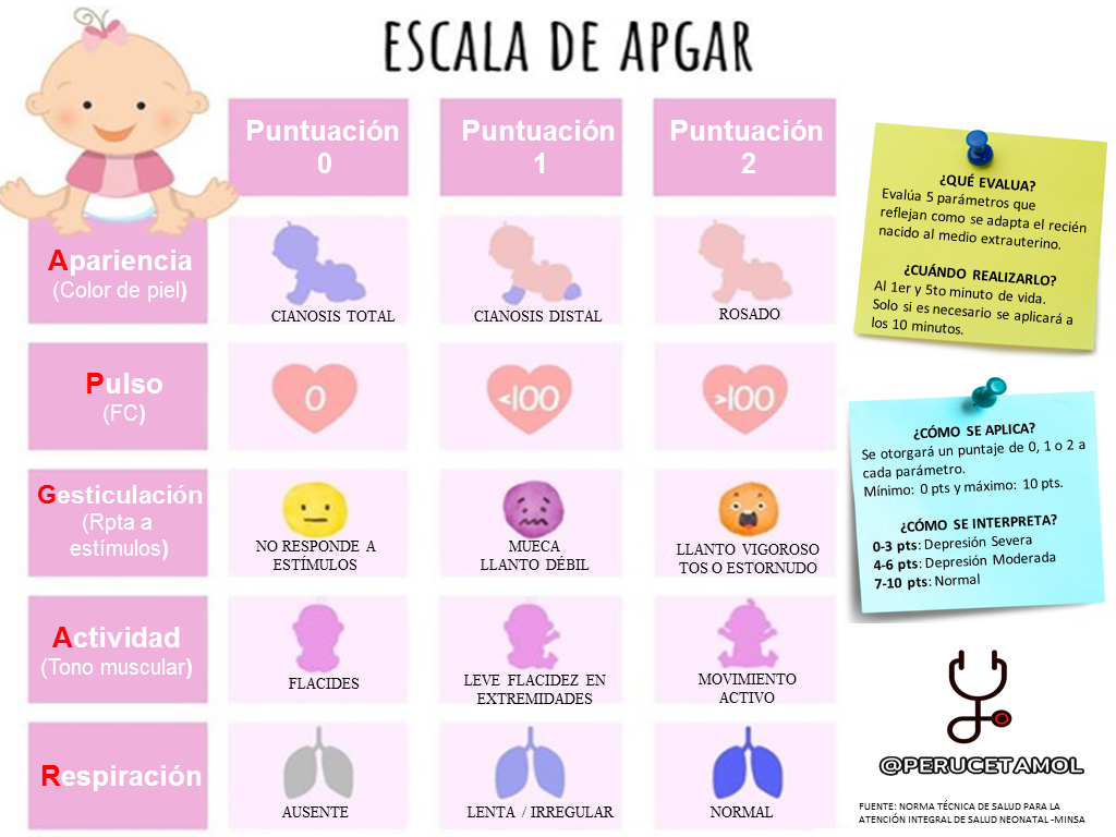 Perucetamol - [TEST DE APGAR] El test de Apgar es una... | Facebook