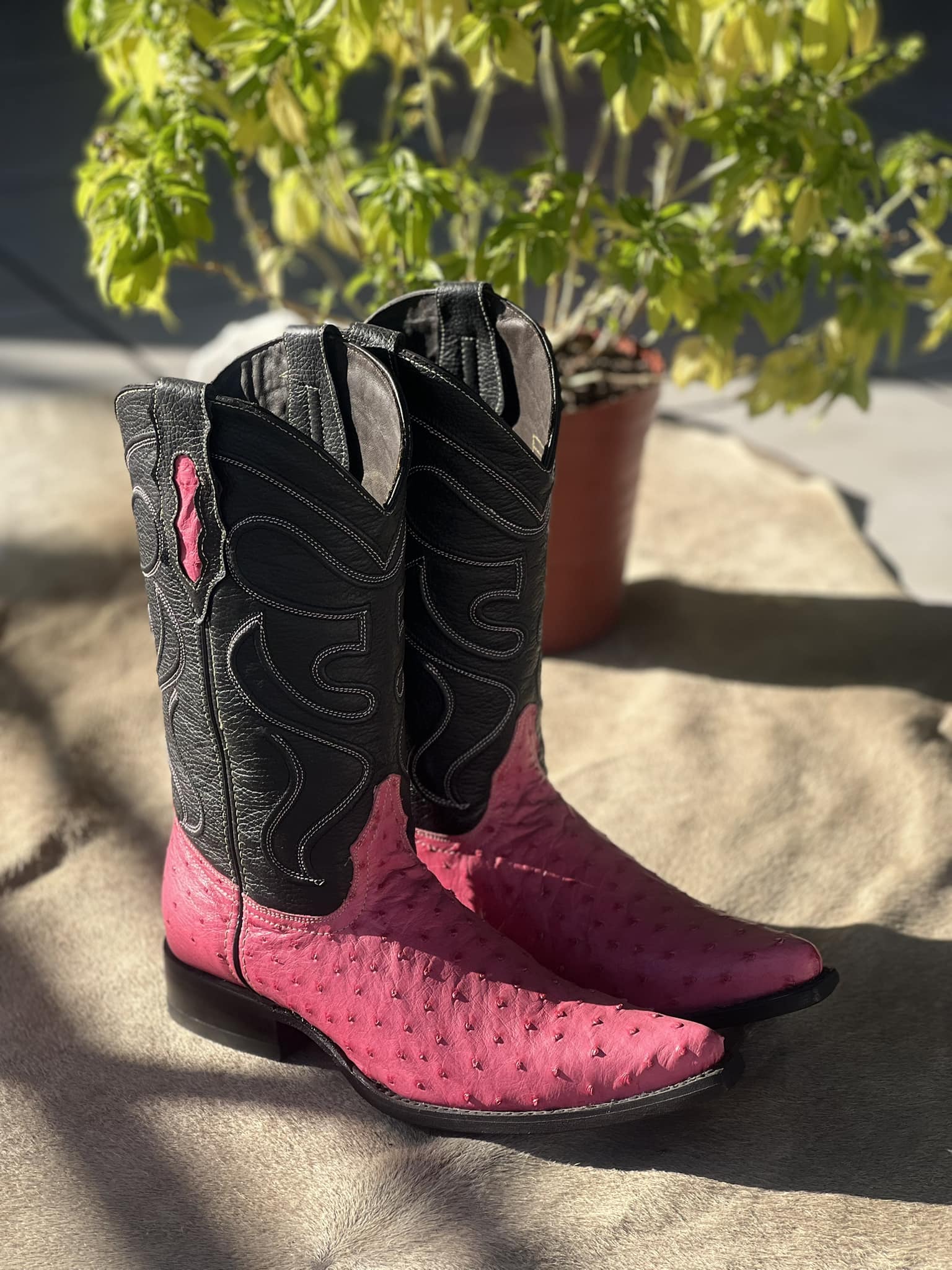 Andrea Reyes JW Ranch | León