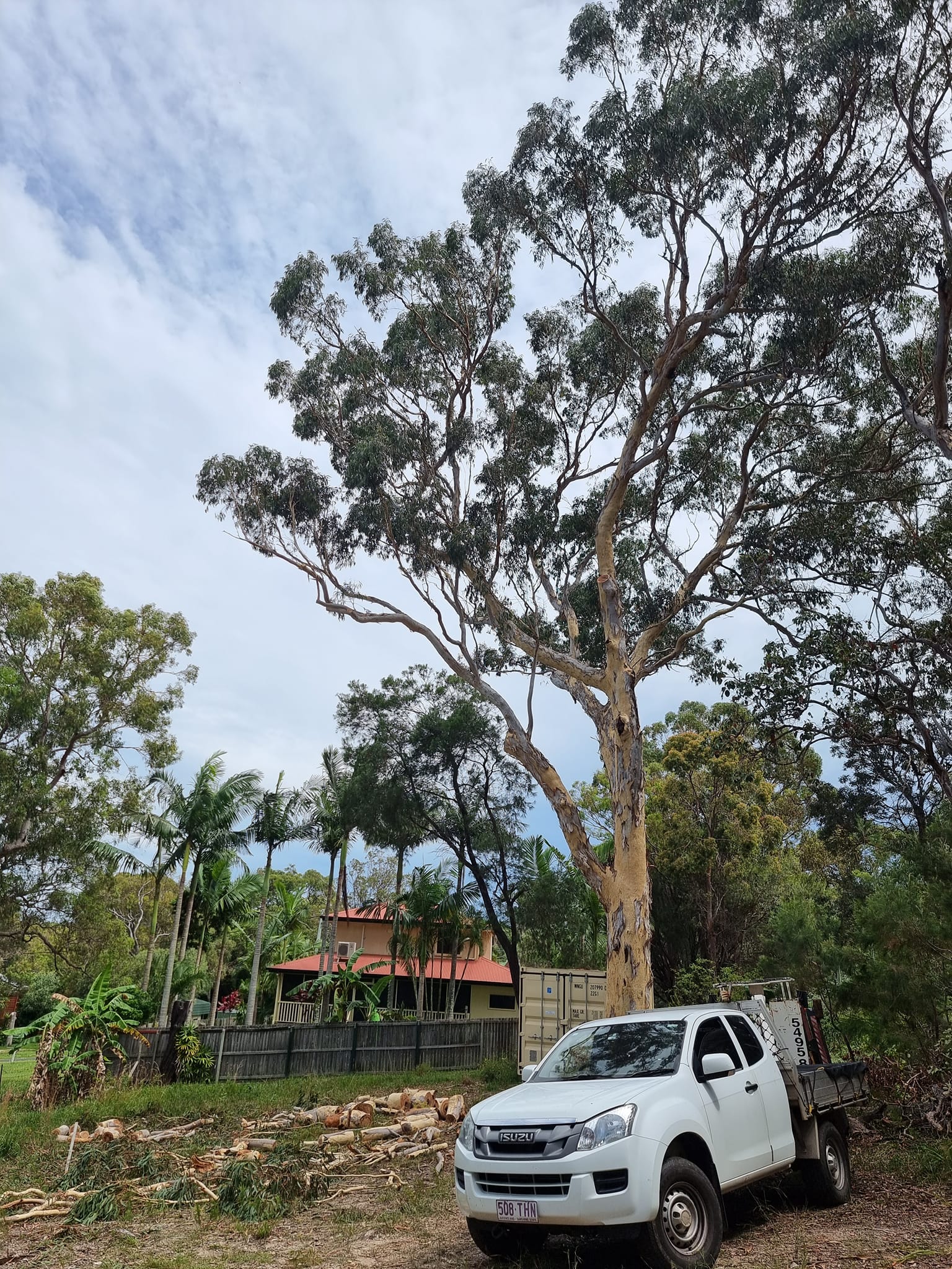 SafeWay Tree Service | Brisbane QLD