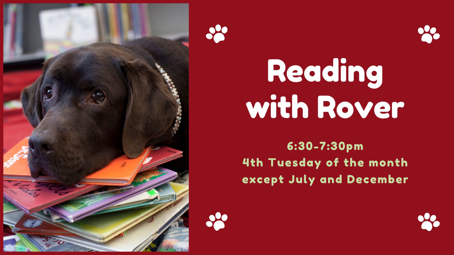 Reading with Rover