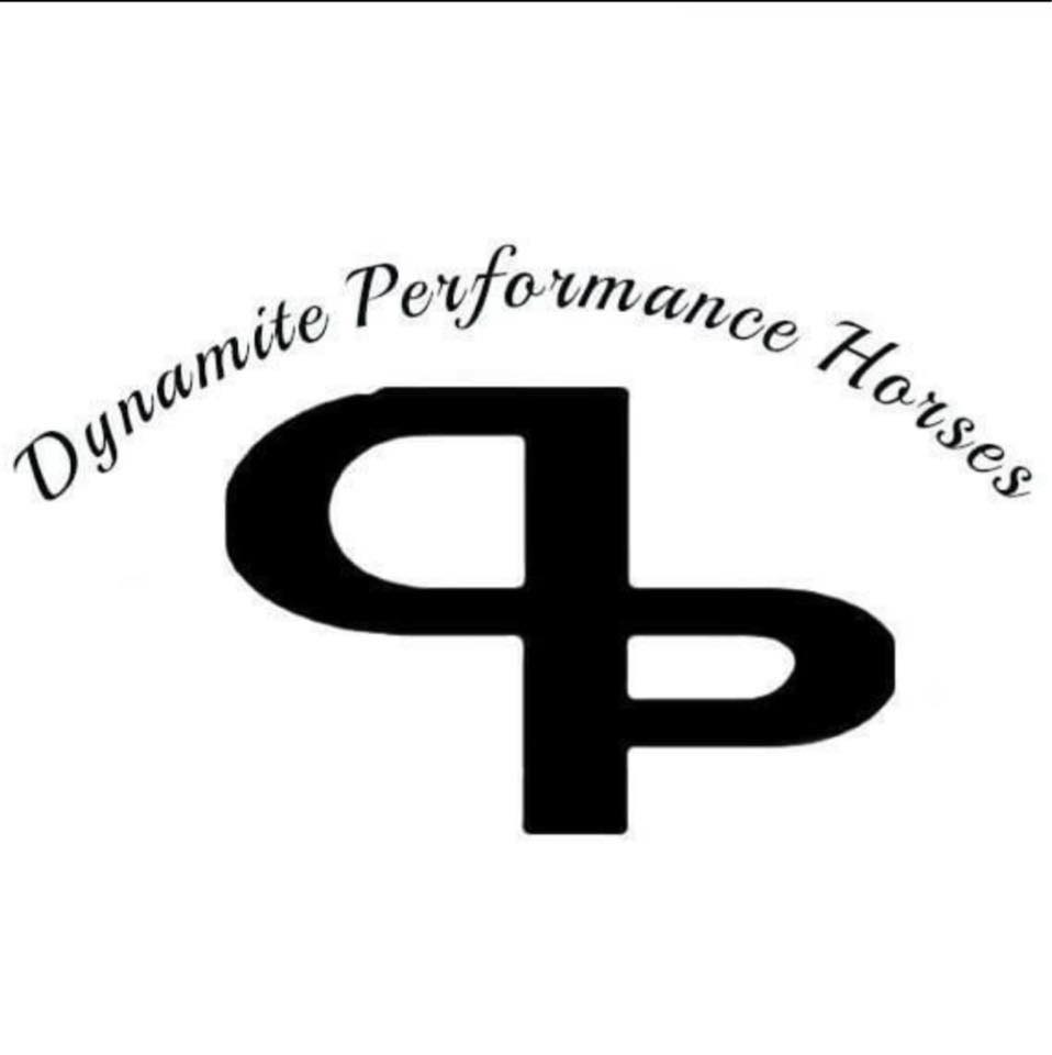 Dynamite Performance Horses... - Dynamite Performance Horses