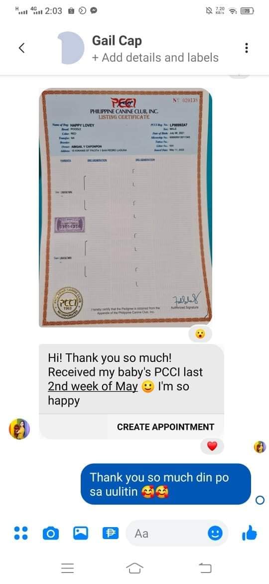 PCCI Assistance & Services