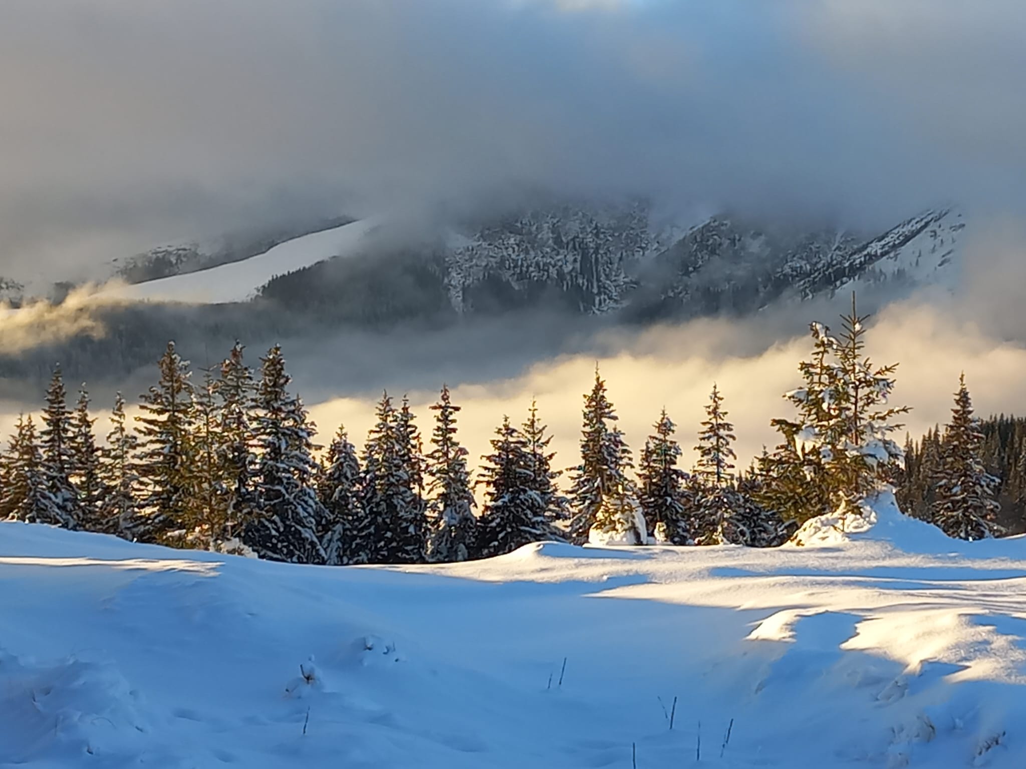 Casuta mea din varf de munte, Ranca/Transalpina | Baia de Fier