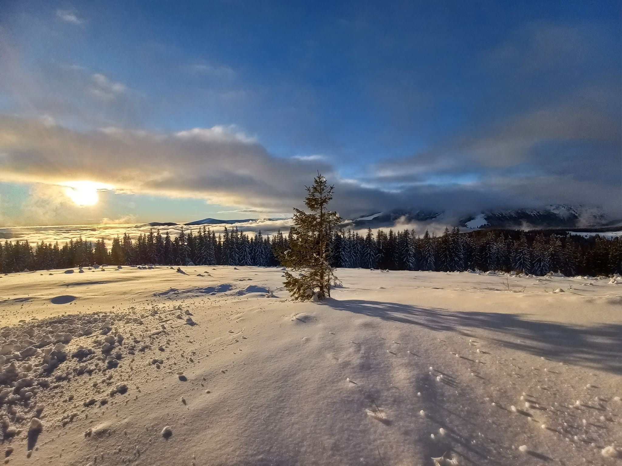 Casuta mea din varf de munte, Ranca/Transalpina | Baia de Fier