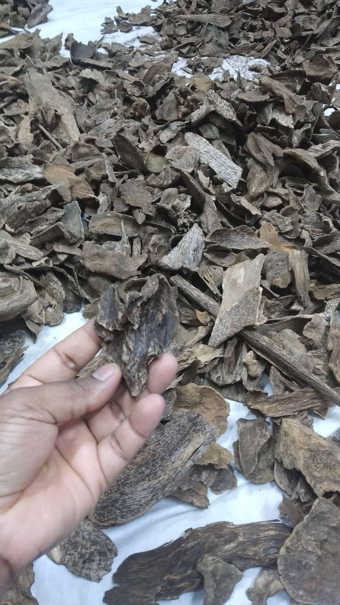 Roshid Agarwood_Oil
