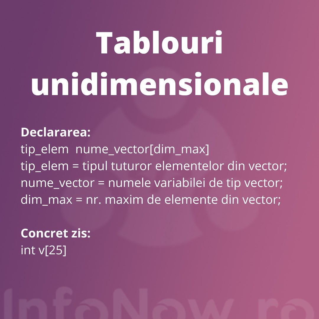InfoNow.ro - Meditații Online la Informatică