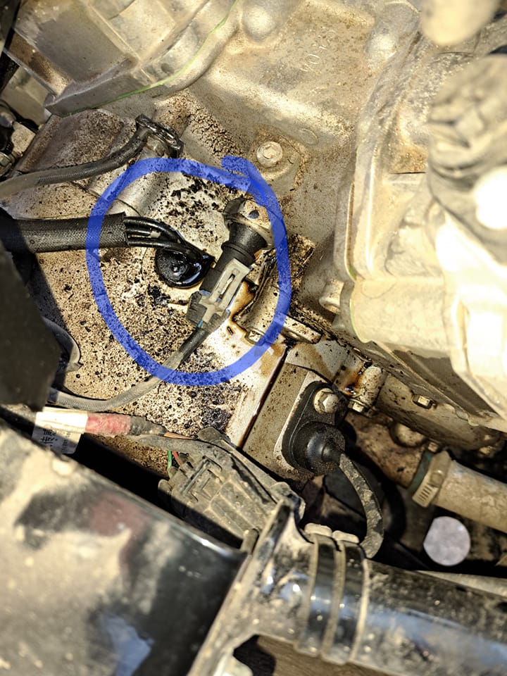 What causes oil leak on 2016 Odes Dominator 800 x4 lt?