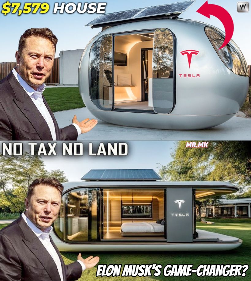 Hard - $7,579 Tesla Tiny House SHOCKING Revealed: What is Inside Elon ...