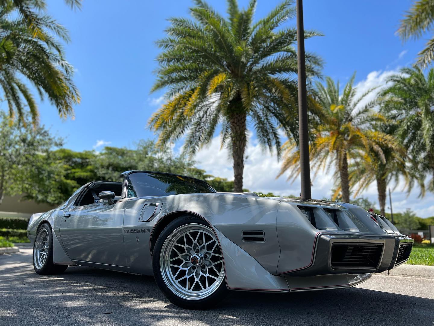 Trans Am Specialties of... - Trans Am Specialties of Florida