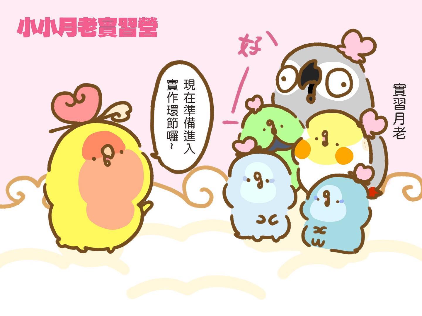 鳥人鳥事多 - 祝各位禽人節快樂🥰🥰🥰 一起來抱抱小禽人吧XD #鳥事多電繪 #鳥事多漫畫 #電繪 #漫畫 #鸚鵡... | Facebook