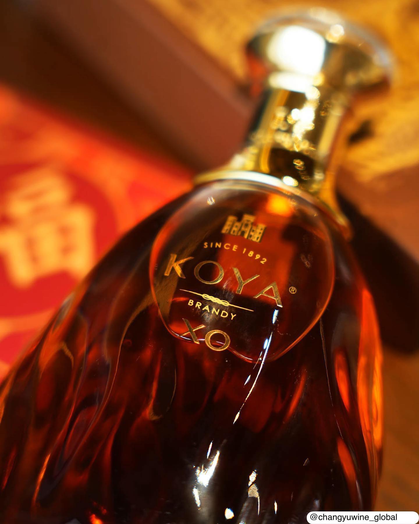 Chateau Changyu Koya Brandy | Yantai
