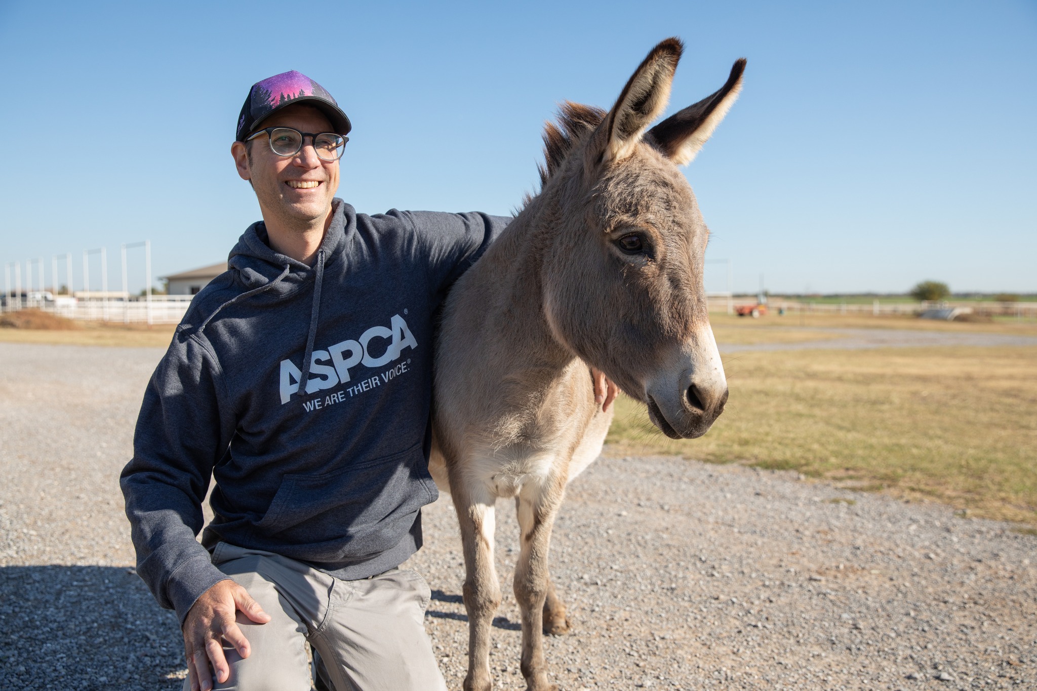 ASPCA - Time is running out to register for the 2023 ASPCA Right Horse ...