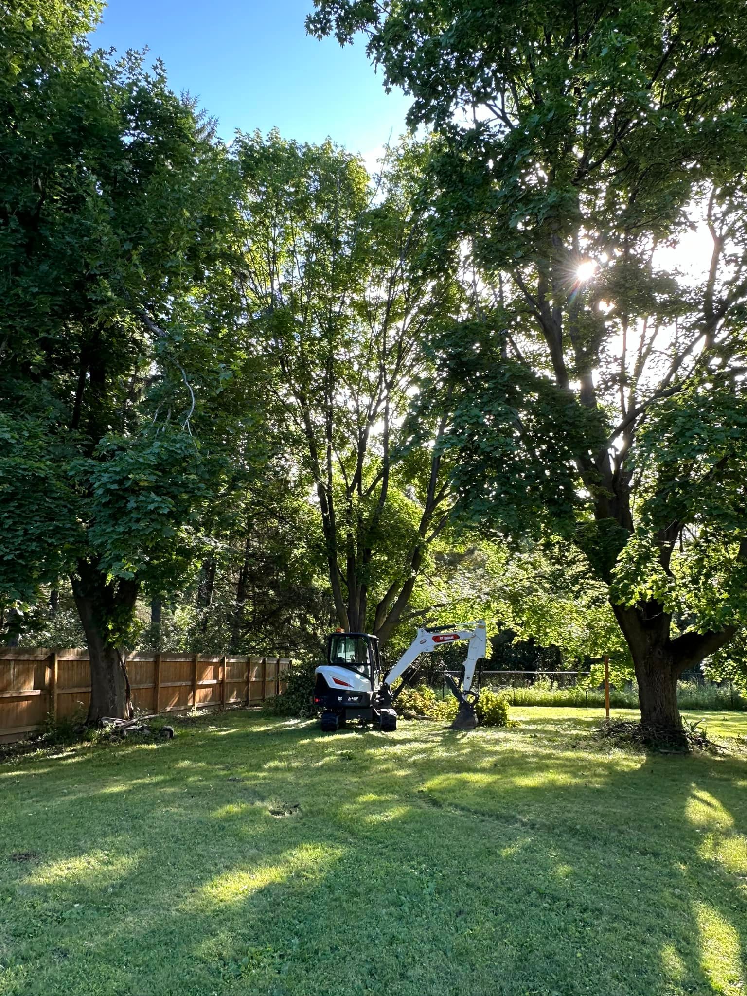 Norcott Tree Service & Excavation | Clyde NY