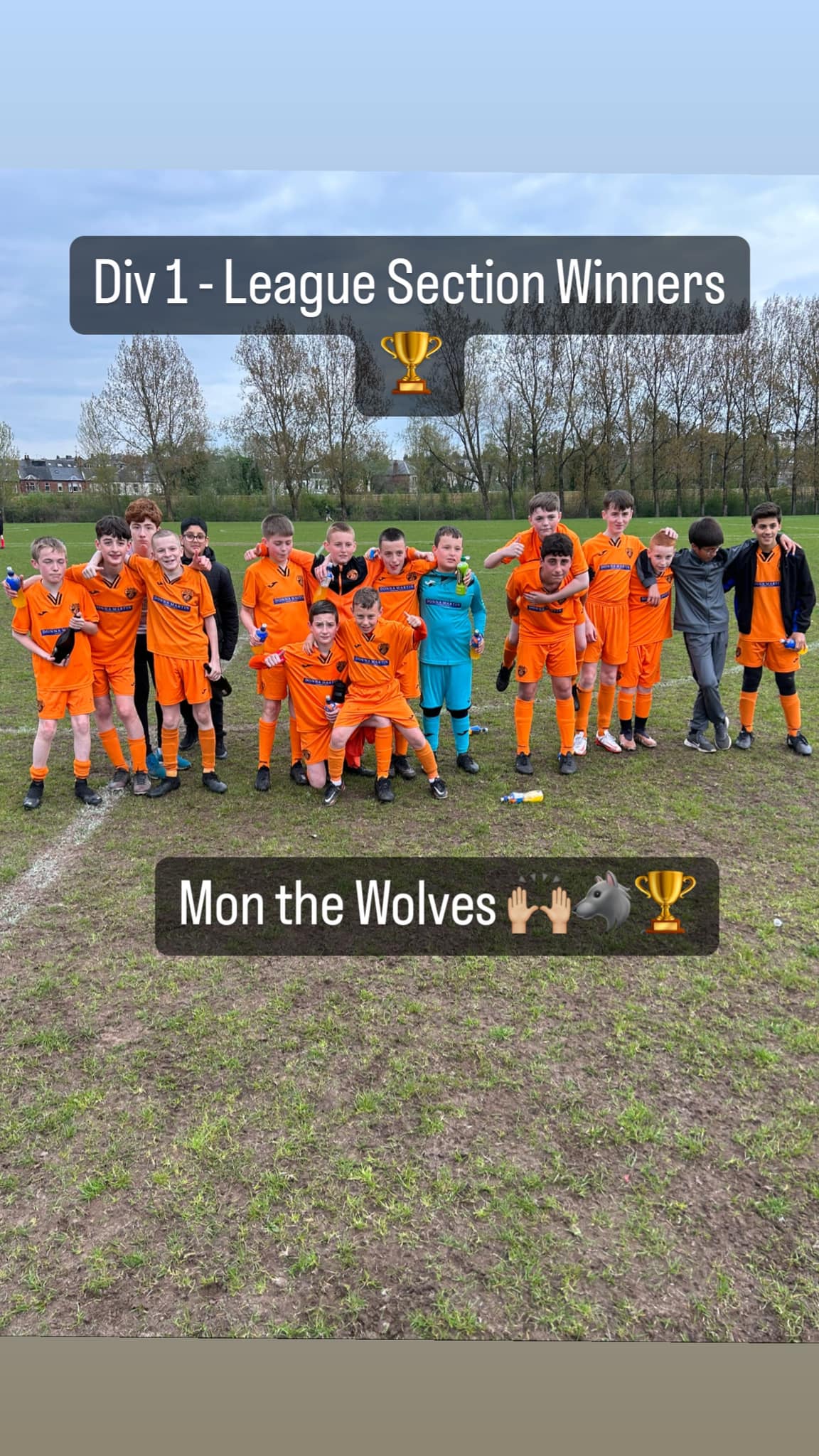 Whitacres Wolves 2015s