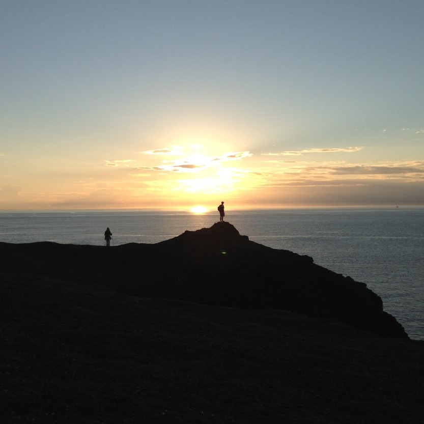 Elliston Puffin Viewing Site | Any puffins seen this morning | Facebook