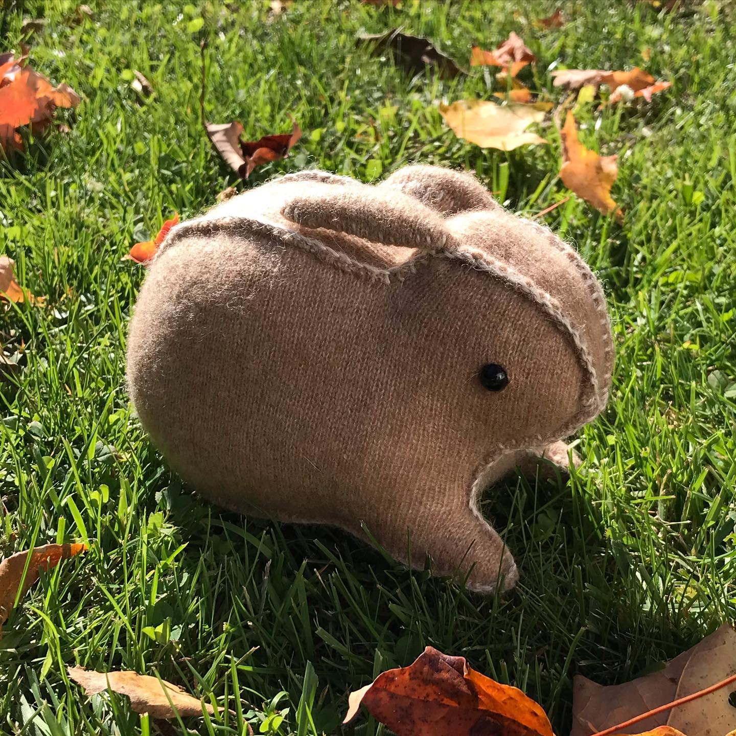 Little Rose Rabbit | Shokan NY