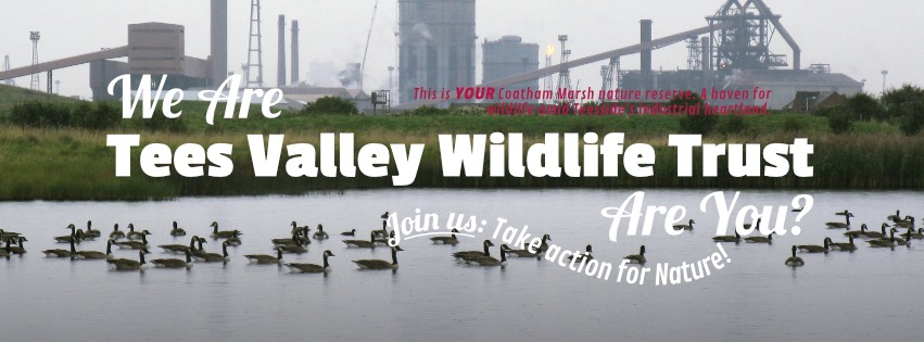 The Tees Rivers Trust added a new... - The Tees Rivers Trust