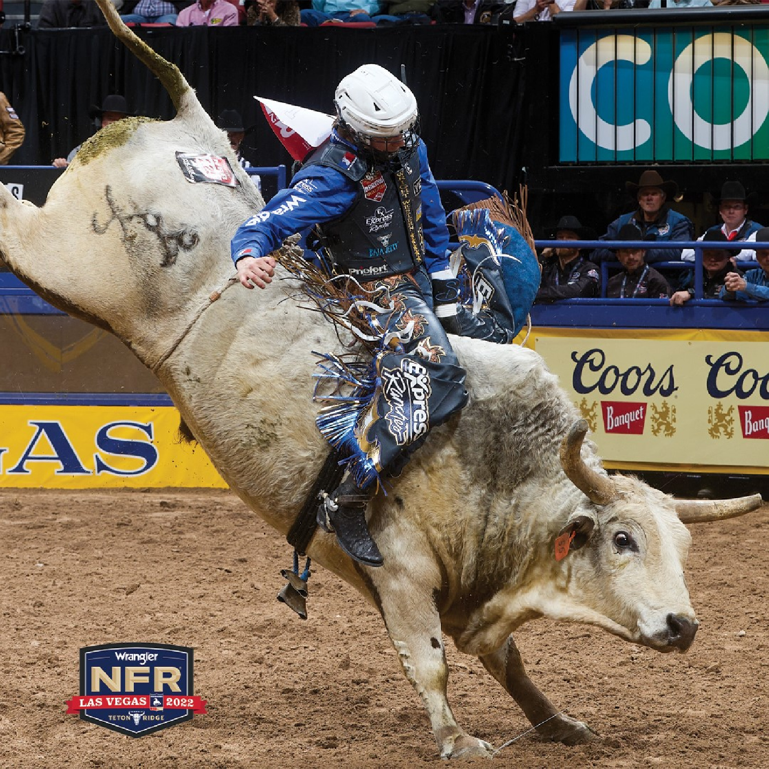 Congratulations Stetson... - The Bull Riding Hall of Fame