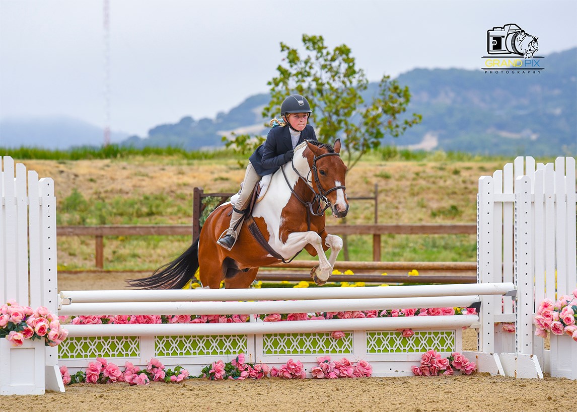 Flying M Ranch - Flying M Ranch added a new photo — with...