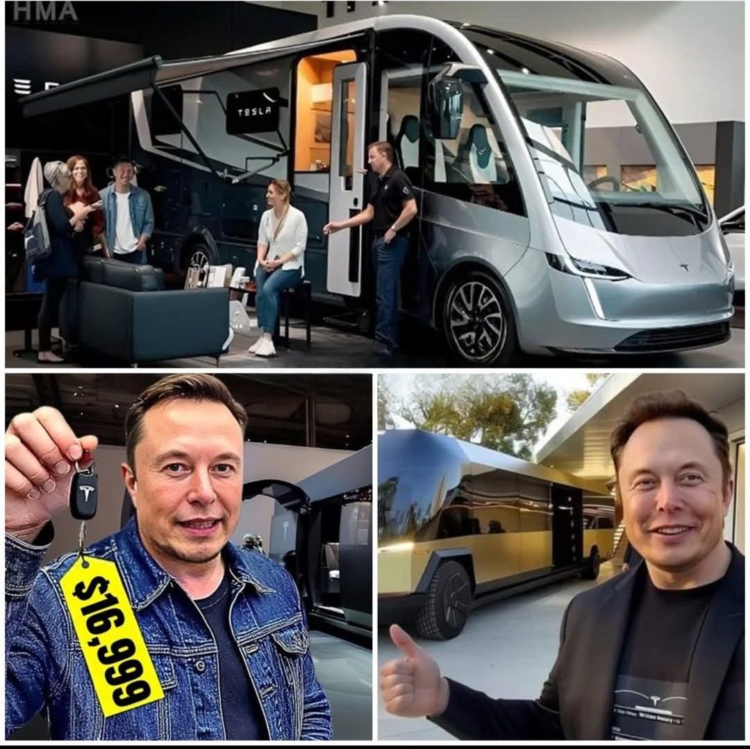Hard - $7,579 Tesla Tiny House Revealed: Taxes Free, Land Deed Free ...